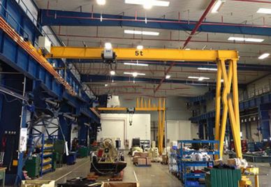 Żuraw europejski Semi Goliath